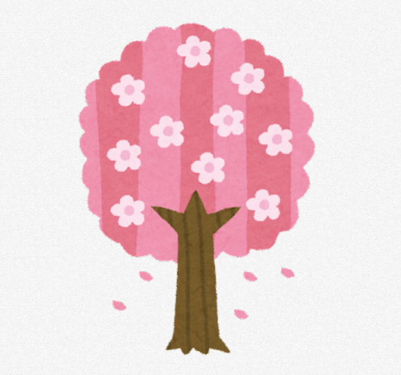 さくら